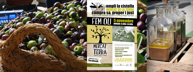 mercatoli2016