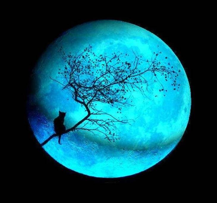 Nueva fecha para la caminata nocturna –