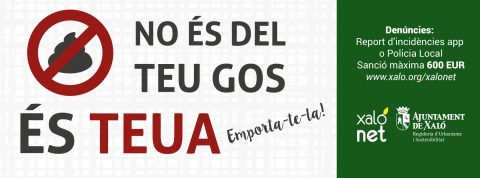caques gos xalo xalonet