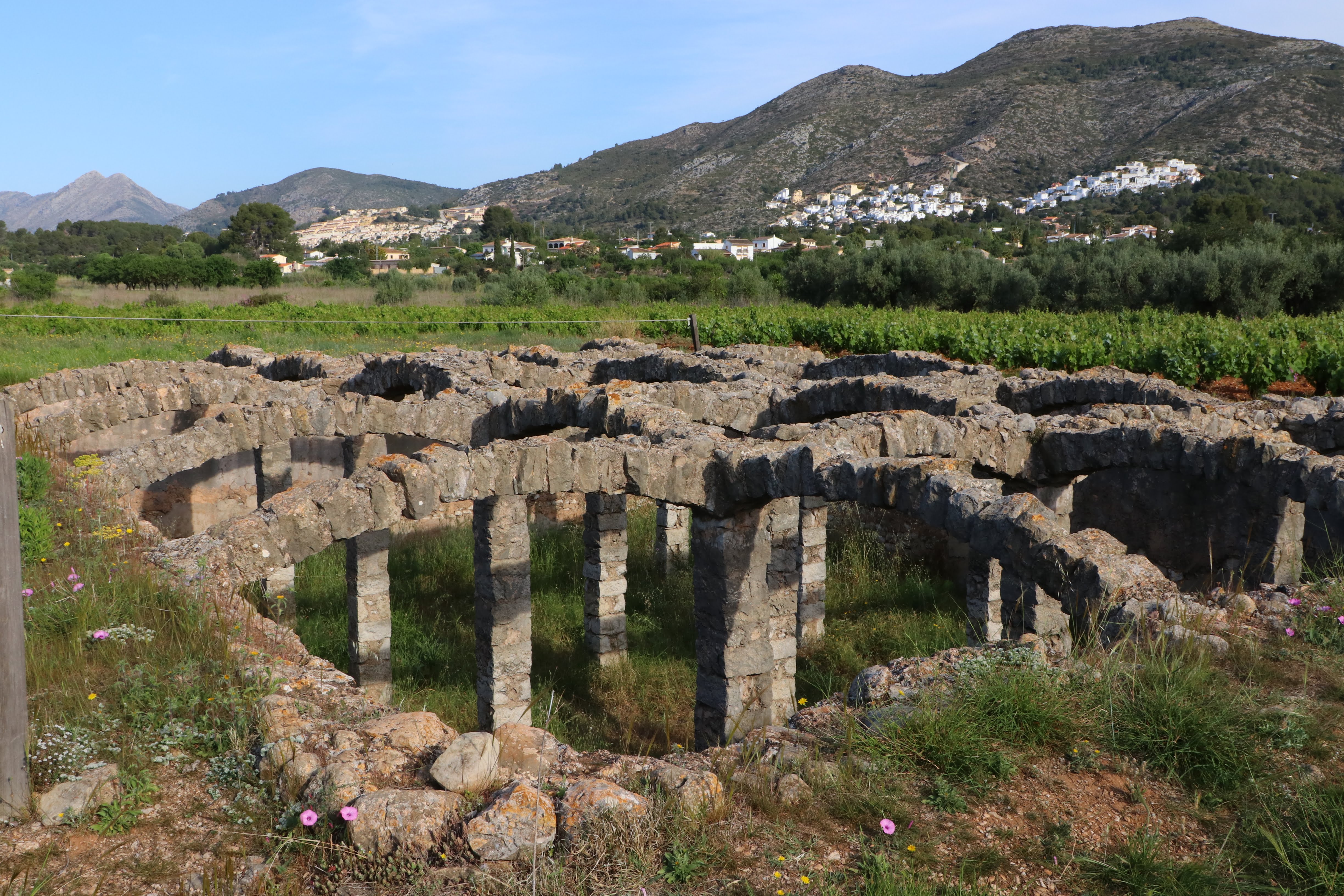 La bassa dels Arcs